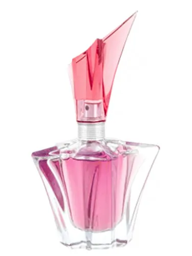 Imagen de Angel Garden Of Stars - La Rose Angel