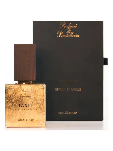 Imagen de Tanit