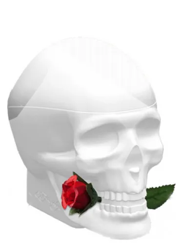 Imagen de Ed Hardy Skulls & Roses for Her
