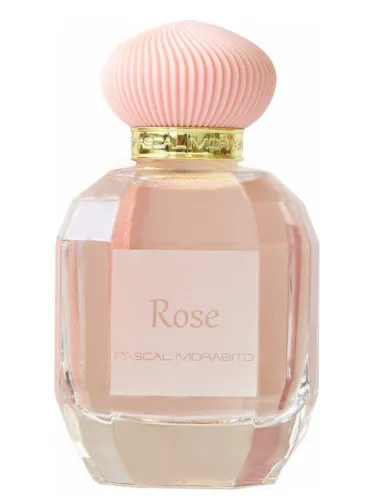 Imagen de Sultan Rose