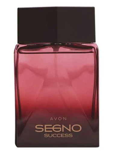 Imagen de Segno Success