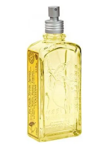 Perfume Citrus Verbena Summer de L'Occitane en Provence