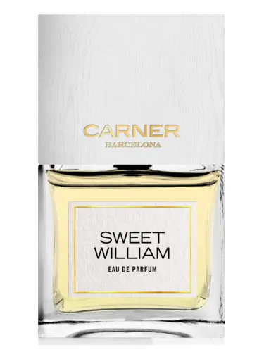 Imagen de Sweet William