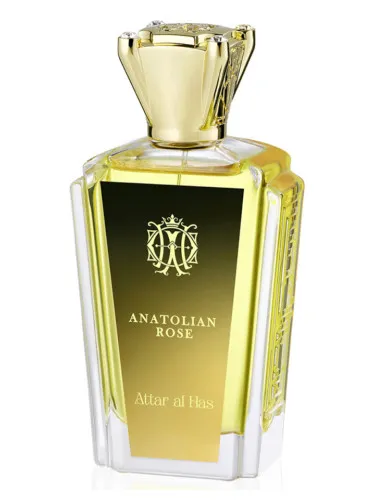 Imagen de Anatolian Rose