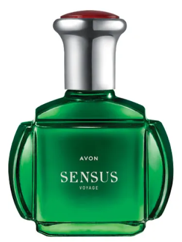 Imagen de Sensus Voyage