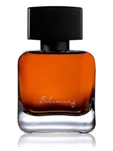 Imagen de Believing