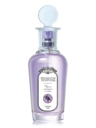 Perfume Черная смородина и мята - Black currant and Mint de Brocard