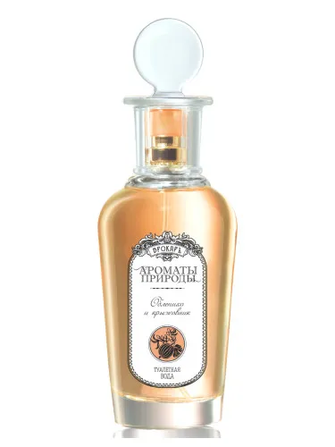 Imagen de Облепиха и крыжовник - Sea buckthorn and Gooseberry