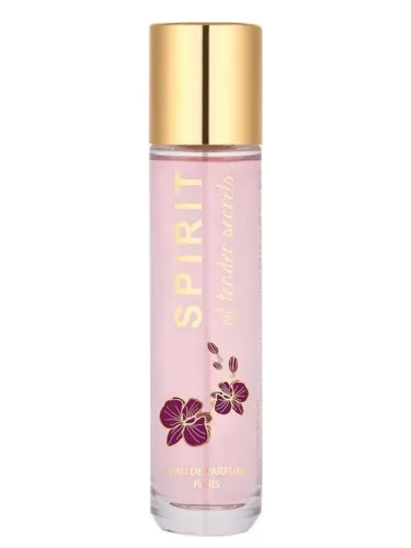 Perfume Spirit of Tender Secrets de Spirit