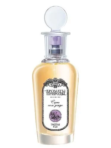 Imagen de Сирень после дождя - Lilac After The Rain