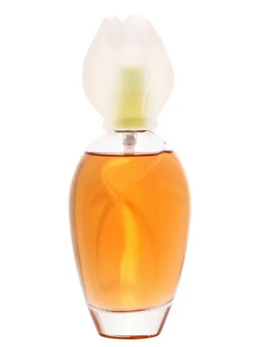 Imagen de Fleur de Narcisse