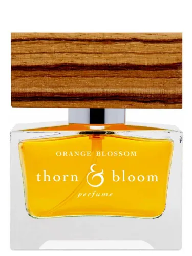 Imagen de Orange Blossom