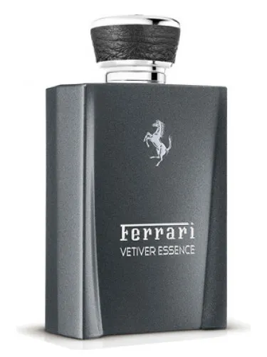 Imagen de Vetiver Essence