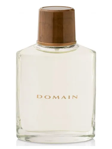 Perfume Domain de Mary Kay