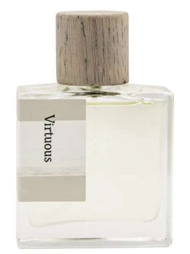 Imagen de Virtuous