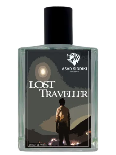 Imagen de Lost Traveller