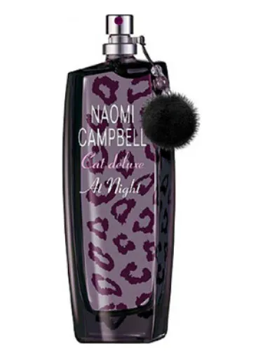 Imagen de Cat Deluxe At Night