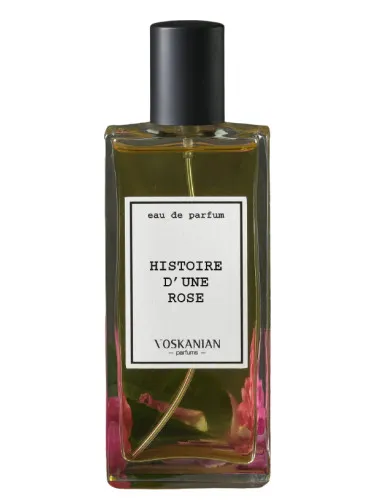 Imagen de Histoire d'une Rose