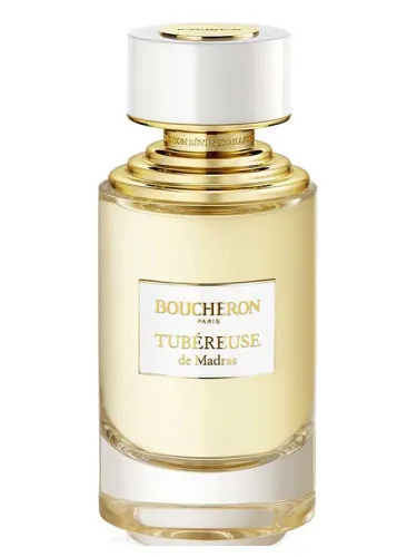 Imagen de Tubéreuse De Madras