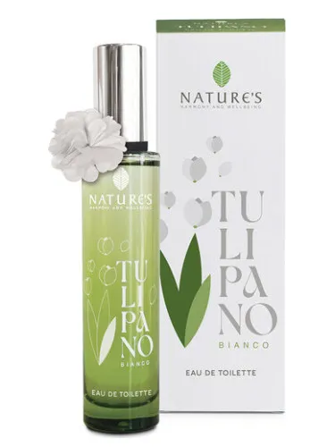 Imagen de Tulipano Bianco