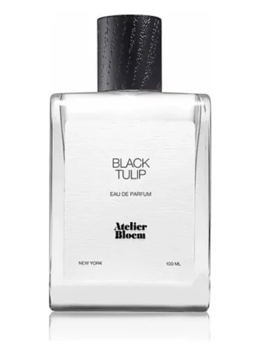 Imagen de Black Tulip