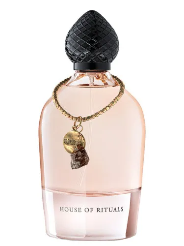 Imagen de Sunset Tuberose