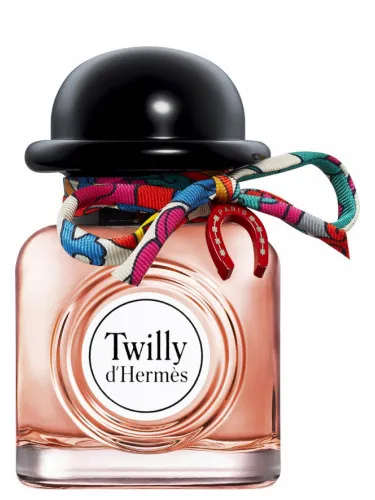 Imagen de Charming Twilly d'Hermès