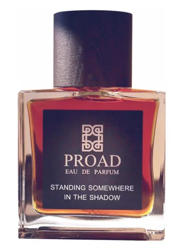 Imagen de Standing Somewhere In The Shadow