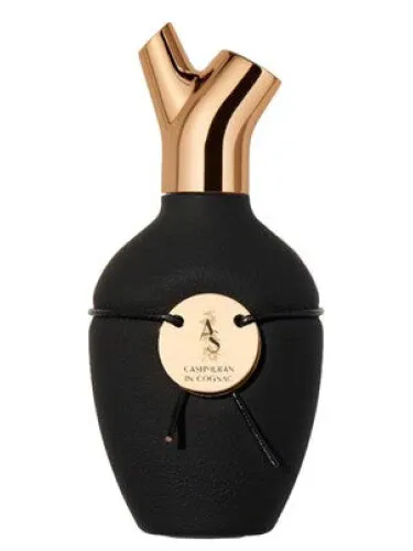 Perfume Cashmeran in Cognac de Scents of Wood