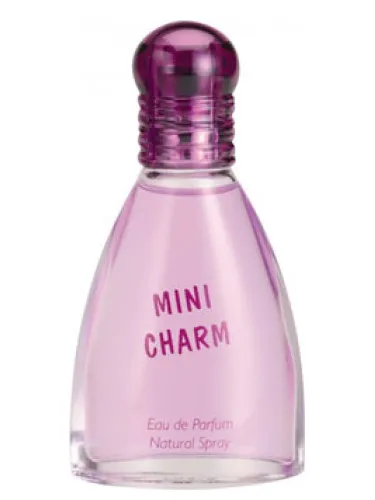 Imagen de Mini Charm
