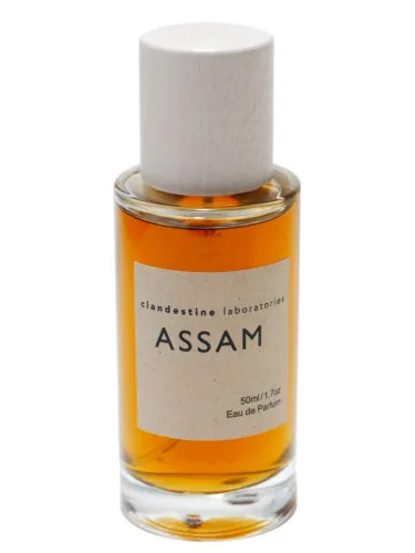 Imagen de Assam