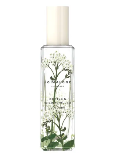 Imagen de Nettle & Wild Achillea