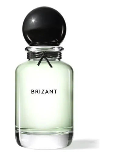 Imagen de Brizant