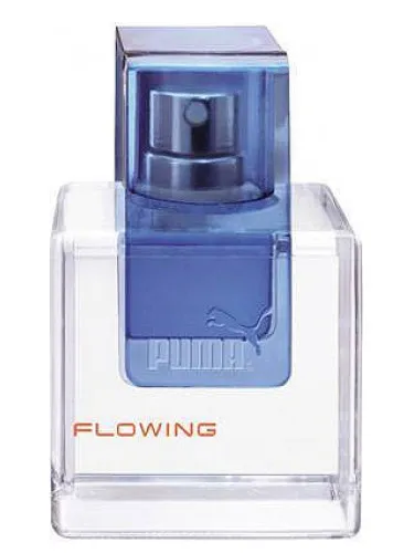 Perfume Flowing Man de Puma