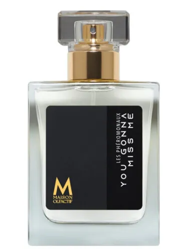 Perfume You Gonna Miss Me de MAISON OLFACTIF