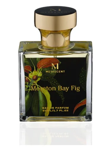 Imagen de Moreton Bay Fig