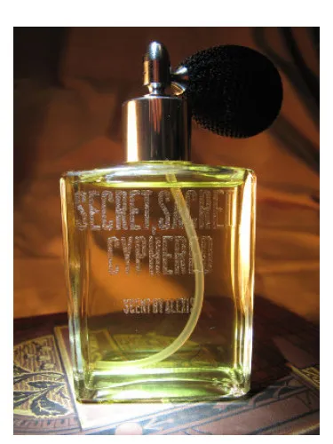 Imagen de Secret, Sacred, Cyphered