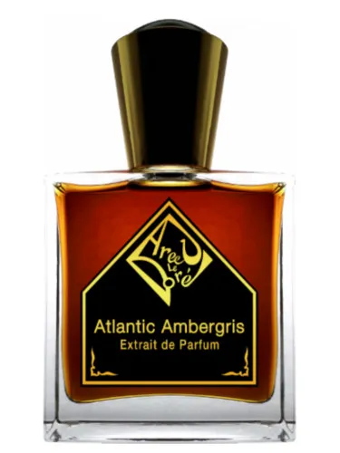 Imagen de Atlantic Ambergris