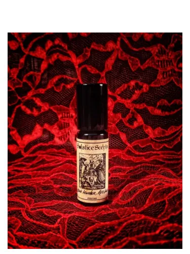 Imagen de Black Leather Red Lace
