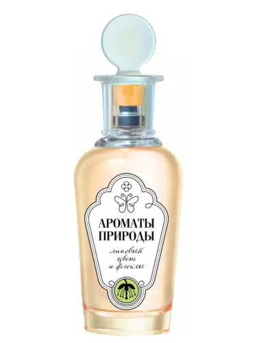 Imagen de Липовый Цвет и Флоксы - Linden Blossom and Phlox