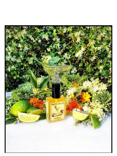 Perfume Gin Flower de Solstice Scents