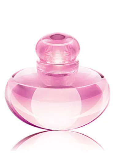Imagen de Volare Magnolia