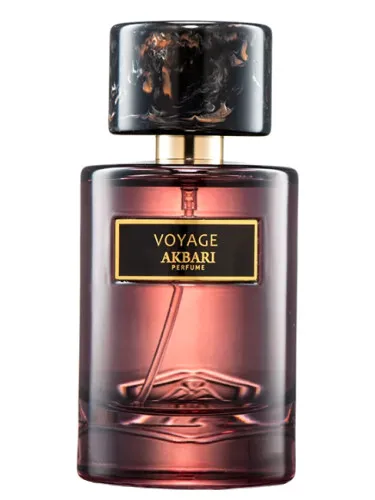 Imagen de Voyage