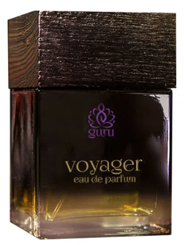 Imagen de Voyager