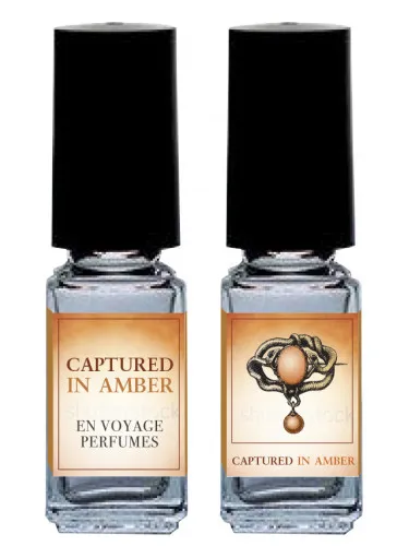 Imagen de Captured in Amber