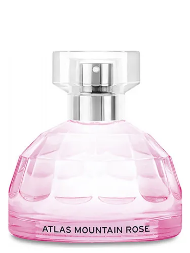 Imagen de Atlas Mountain Rose