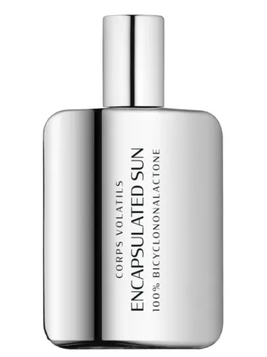 Imagen de Encapsulated Sun