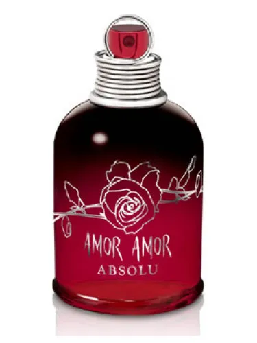 Imagen de Amor Amor Absolu