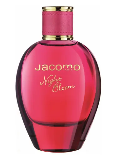 Imagen de Night Bloom
