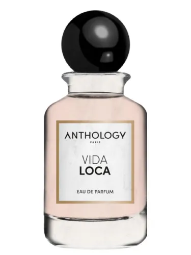 Perfume Vida Loca de Anthology